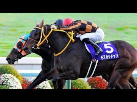 エリザベス女王杯（ＧⅠ）　モズカッチャン　牝３　54　M.デムーロ　2017.11.12　　出走馬：クロコスミア、ミッキークイーン、ヴィブロス、スマートレイアー、クイーンズリング、リスグラシュー他