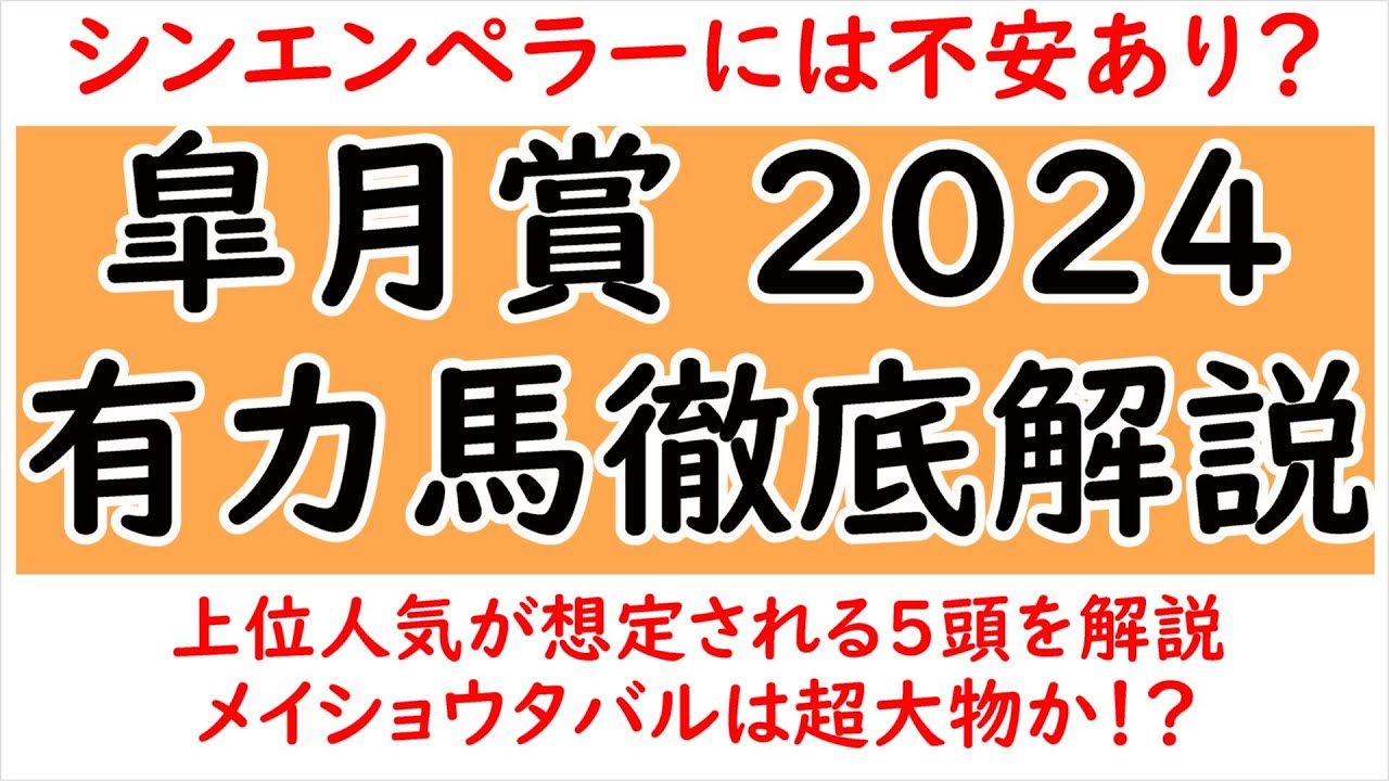 皐月賞2024有力馬5頭徹底解説！シンエンペラー/メイショウタバル/ジャスティンミラノ/ビザンチンドリーム/コスモキュランダ【皐月賞2024】