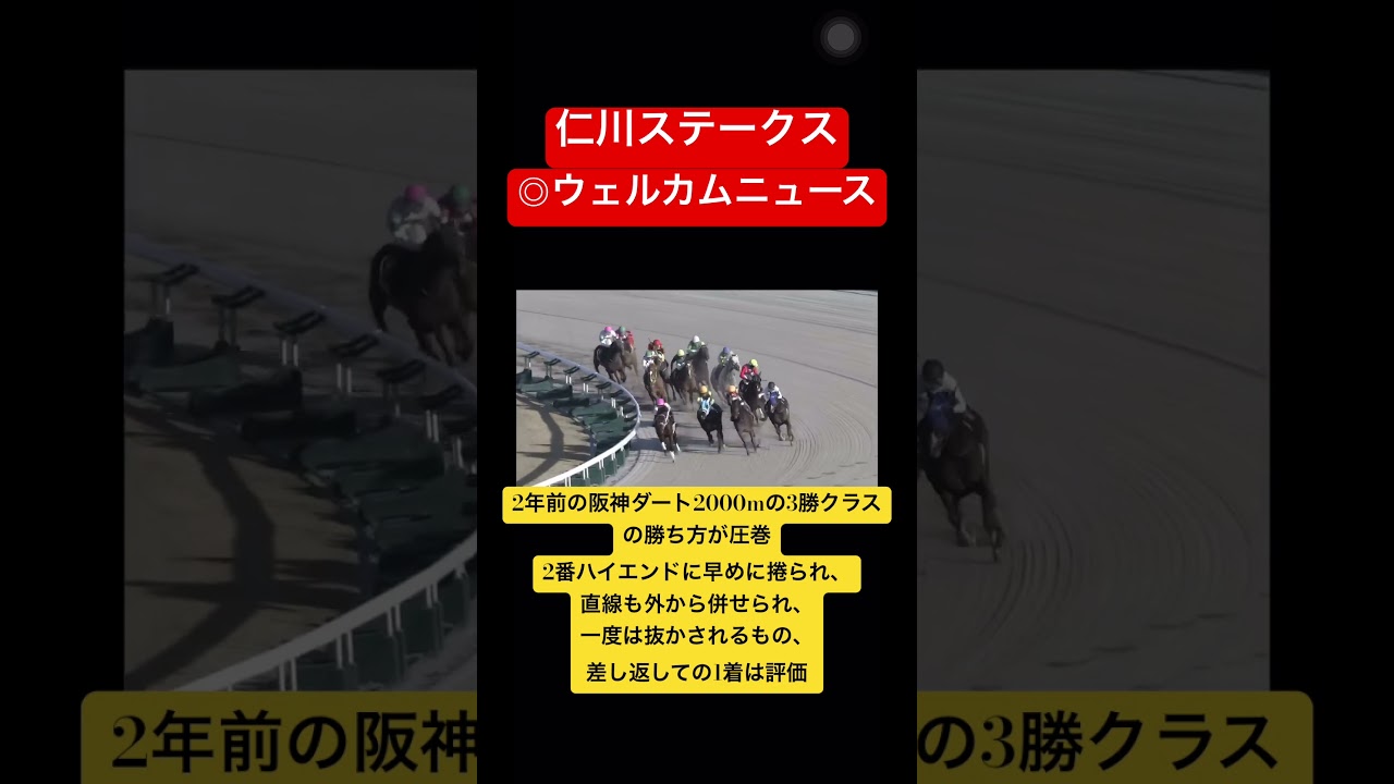 【仁川ステークス2024】🎯🎯4番人気8.7倍2着ウェルカムニュース！🔥#競馬 #競馬予想
