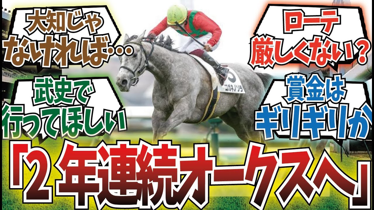 「ゴルシ産駒の希望」に対するみんなの反応集