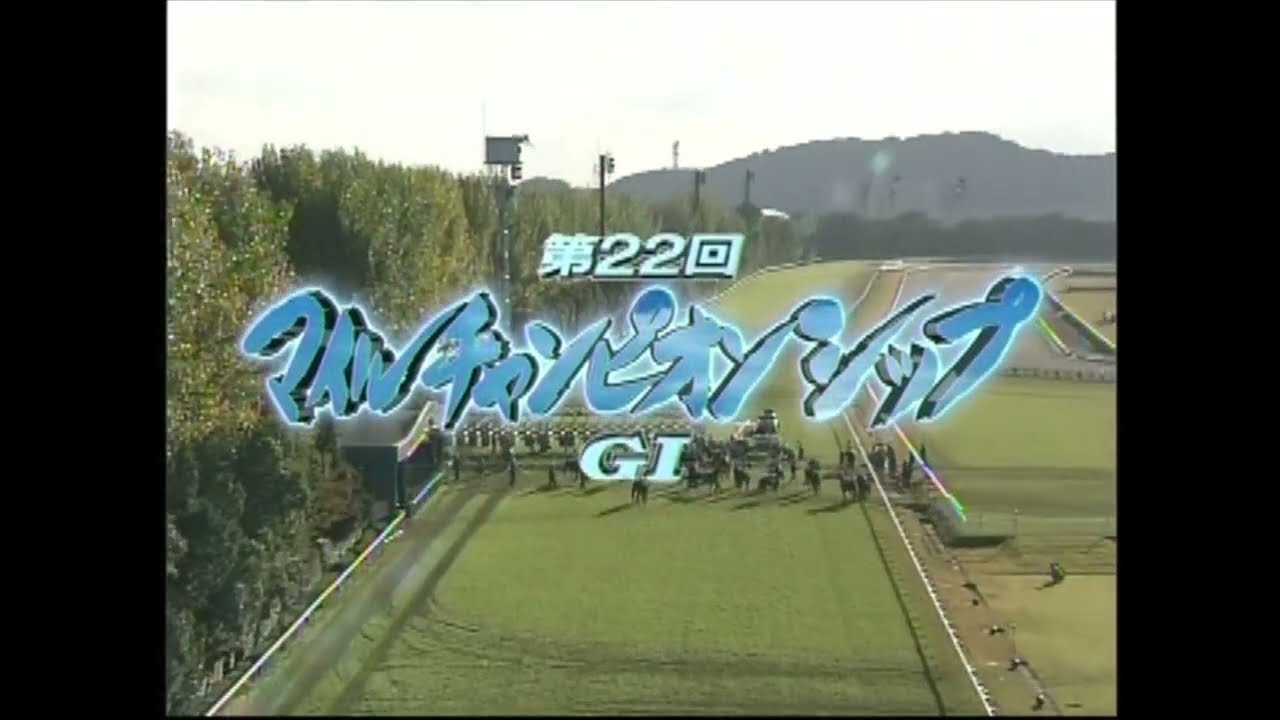 マイルチャンピオンシップ 2005年