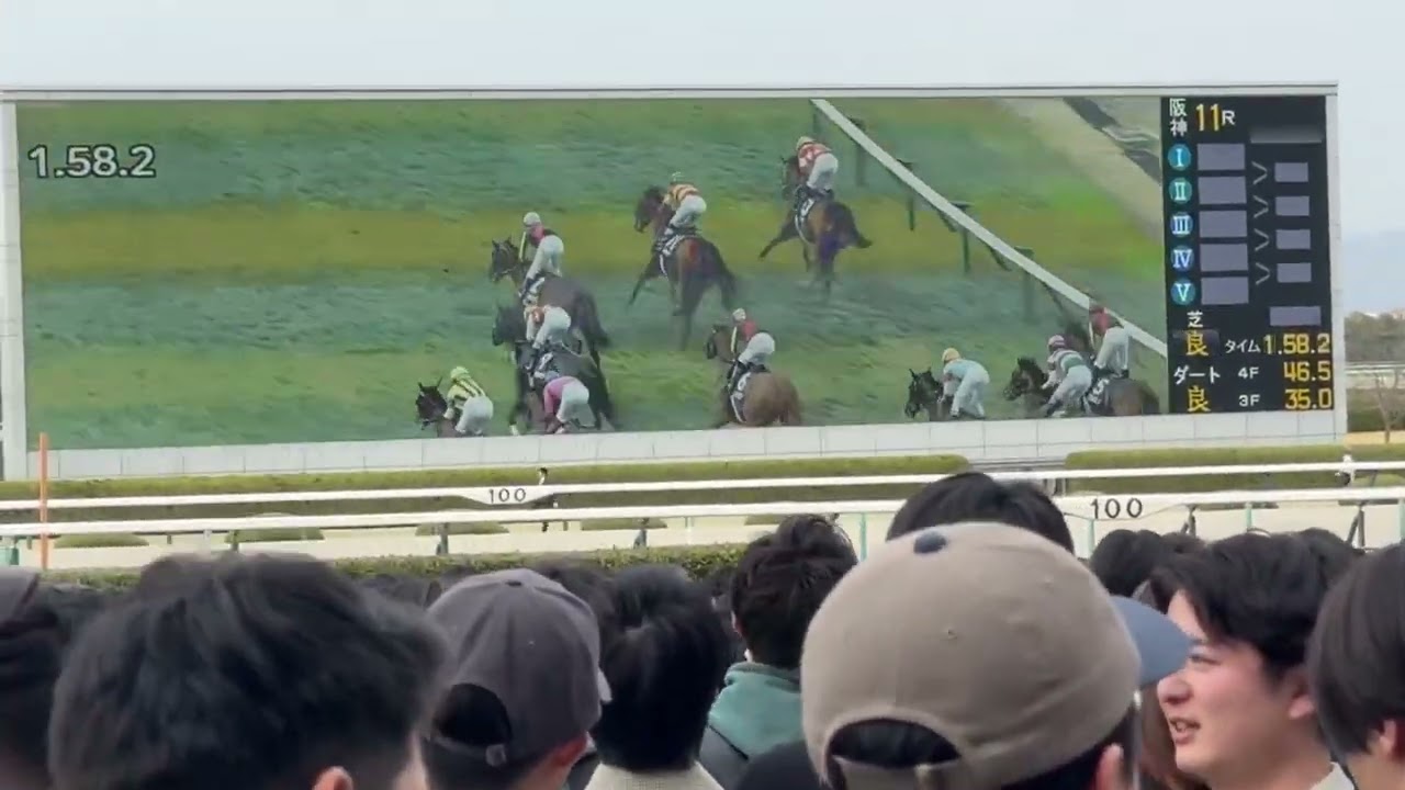 第68回 大阪杯(GⅠ) 2024年3月31日(日) 阪神競馬場 - 現地映像