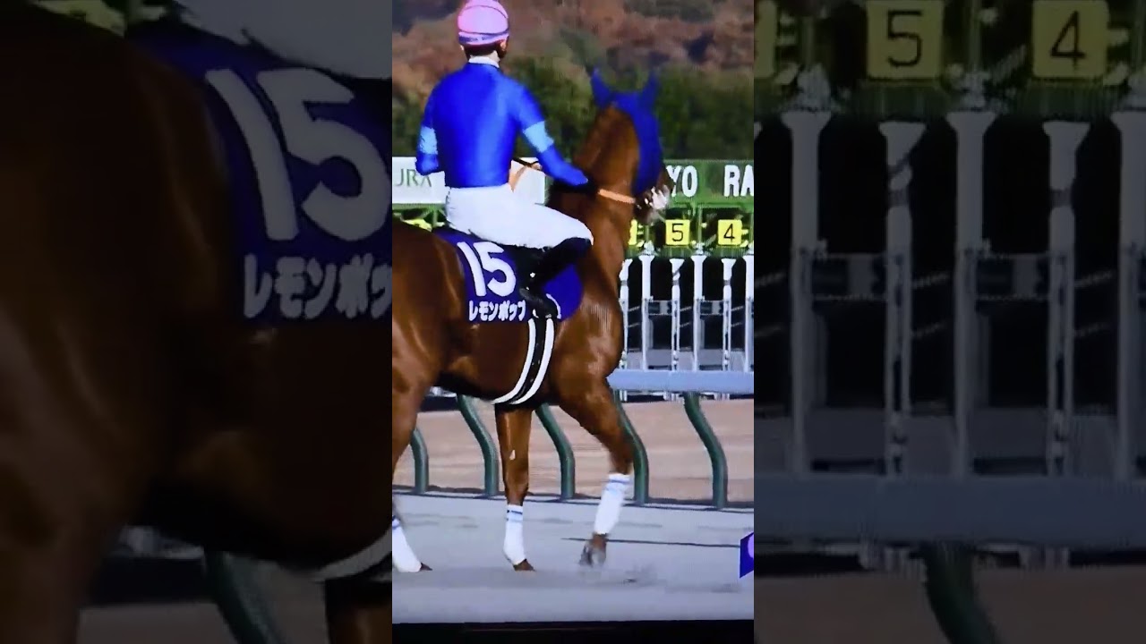 レモンポップ返し馬＠チャンピオンズカップ2023