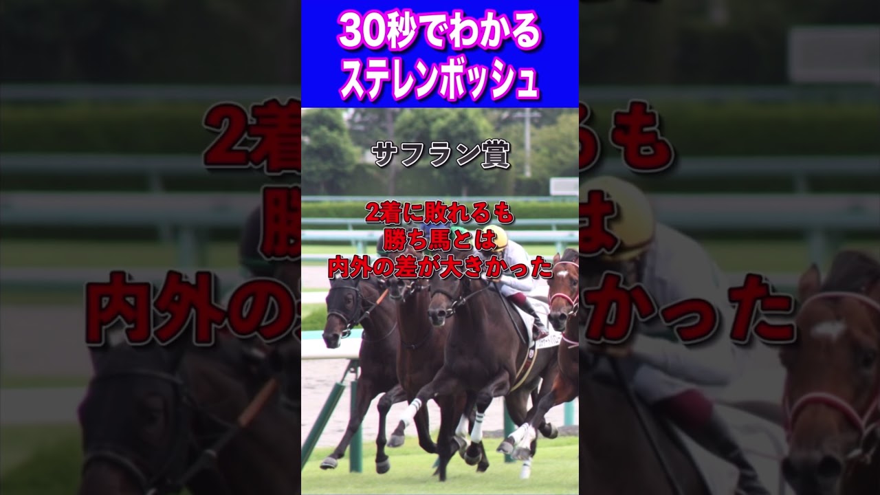 【桜花賞2024】30秒でわかるステレンボッシュ