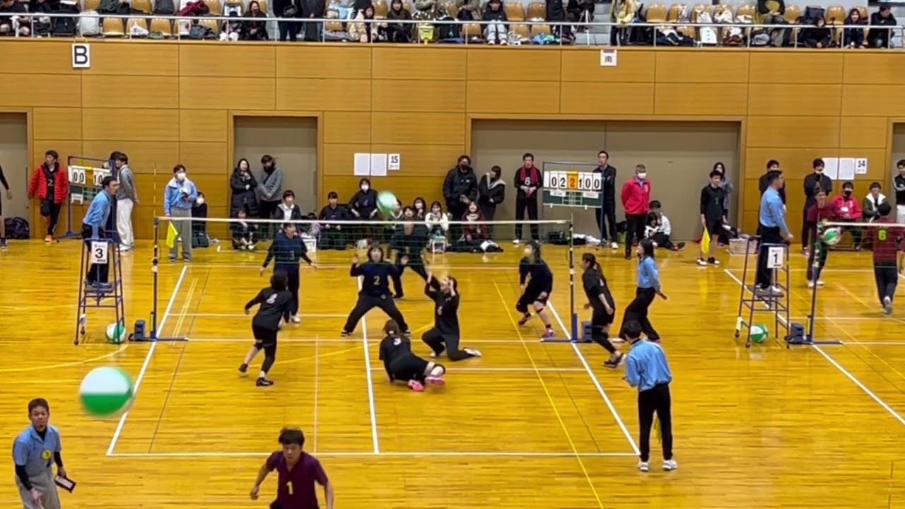 240323 ジャパンカップ BMS vs 柴の実