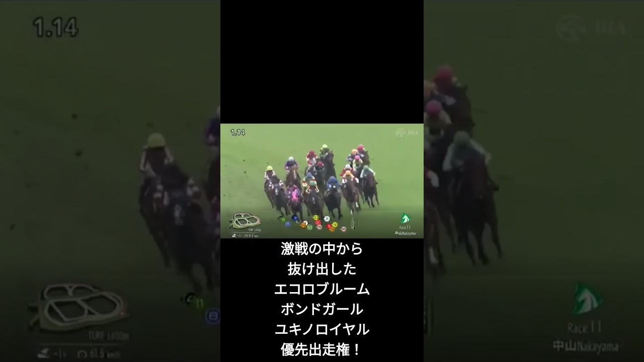 ショートで第42回ニュージーランドトロフィー(NHKマイルカップトライアル)#shorts
