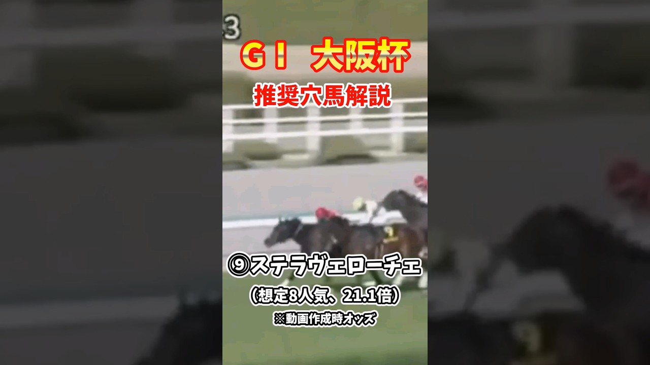 【GⅠ大阪杯】推奨穴馬解説！#競馬#競馬予想#大阪杯#ステラヴェローチェ