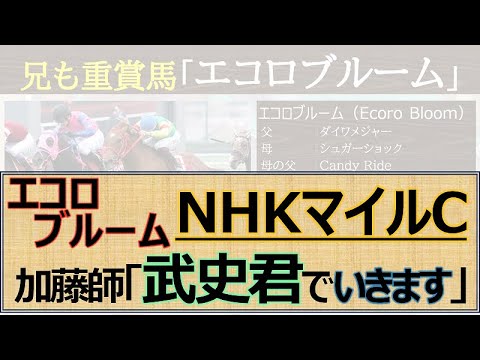 【マイルC最有力馬】良ならキレ脚強化！「エコロブルーム」新コンビ横山武史で強い競馬、次走NHKマイルCも横山武史で勝負決定☆