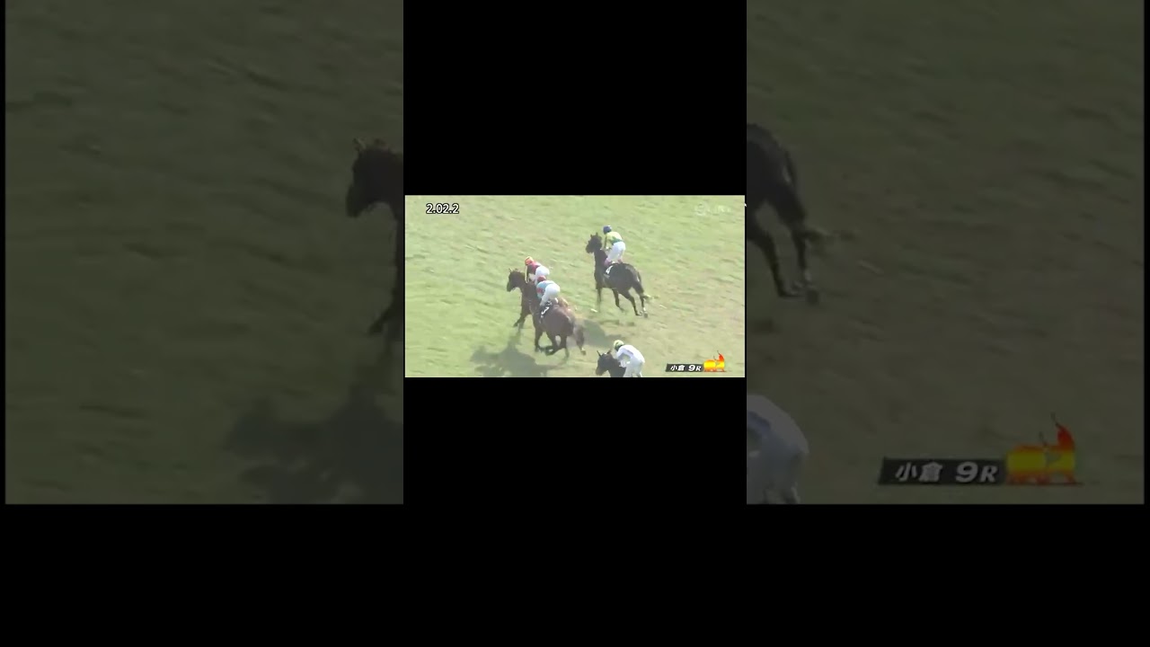 競馬ロワイヤル　予想結果　2024.02.10・11 #shorts