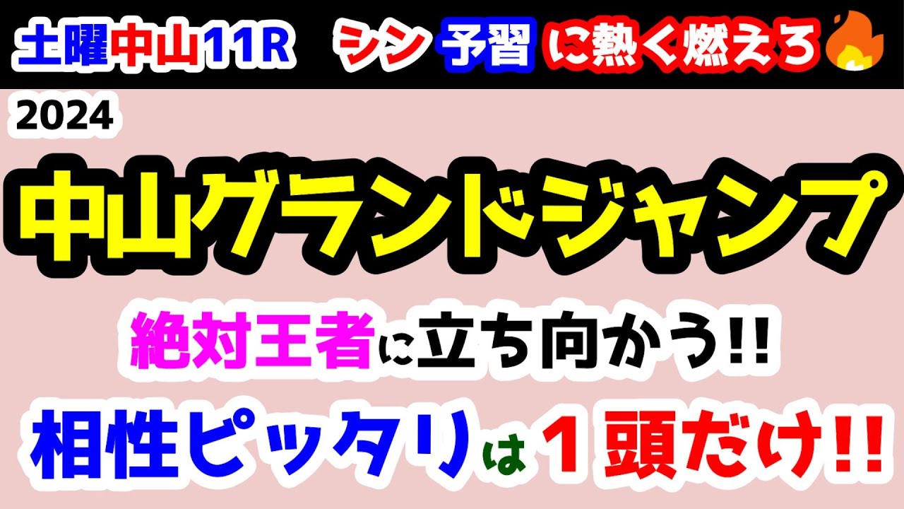 【予習に熱く燃えろ🔥】絶対王者に立ち向かう😤　相性ピッタリは１頭だけ!!   【2024 中山グランドジャンプ Ｊ.GⅠ】