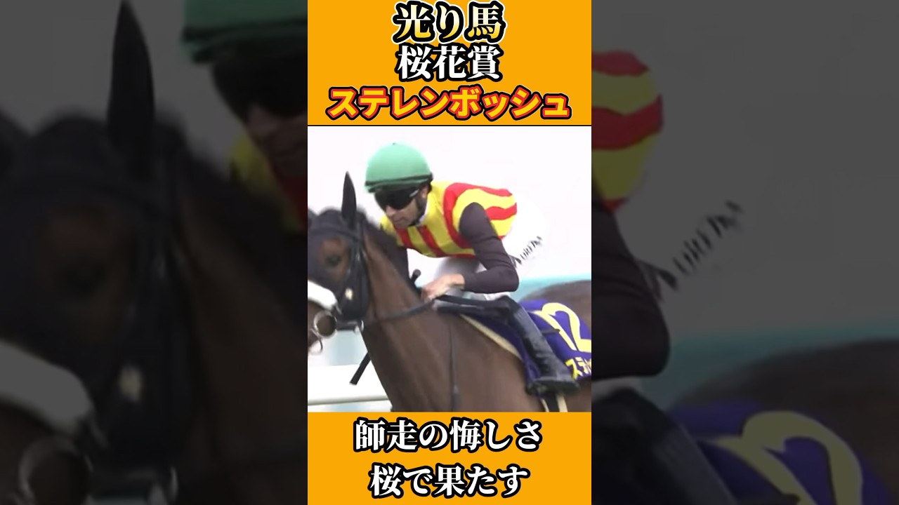 師走の悔しさ桜ではらす！桜花賞光り馬ステレンボッシュ #競馬 #GⅠ