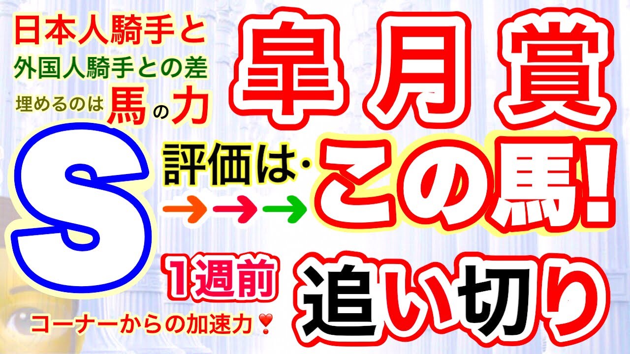 穴党専科❣️【皐月賞2024】しーいちの1週前追い切り評価→Ｓ評価は成長途中も良