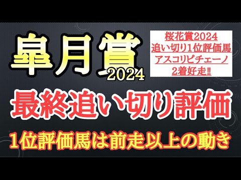 【皐月賞2024】最終追い切り評価！シンエンペラーら有力馬の動きはどうだったのか？そして個人的追い切り1位はどの馬だ！？