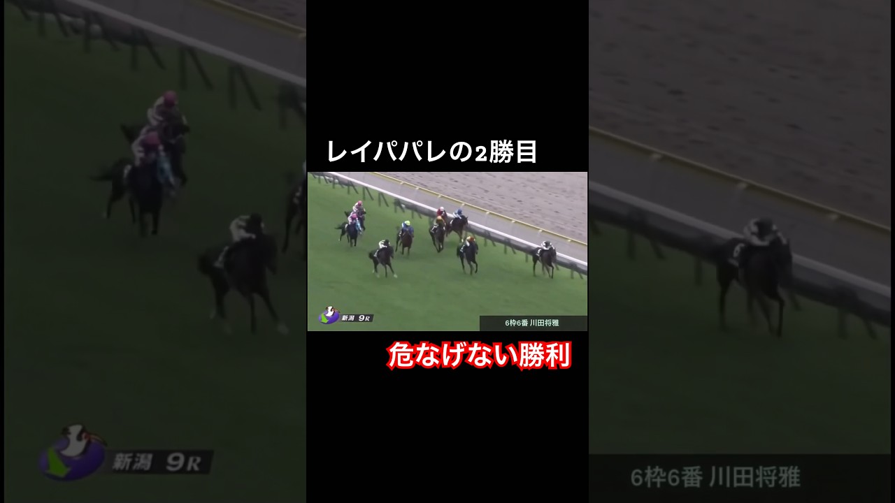 【危なげなく】レイパパレの2勝目