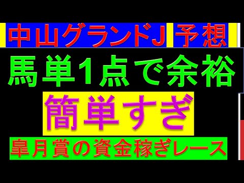 2024年 中山グランドジャンプ 予想【馬単1点で余裕/アーリントンC/皐月賞/中山GJ】