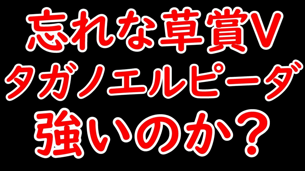 タガノエルピーダは大物か？忘れな草賞を勝ち賞金加算しいざオークスへ！【タガノエルピーダ】