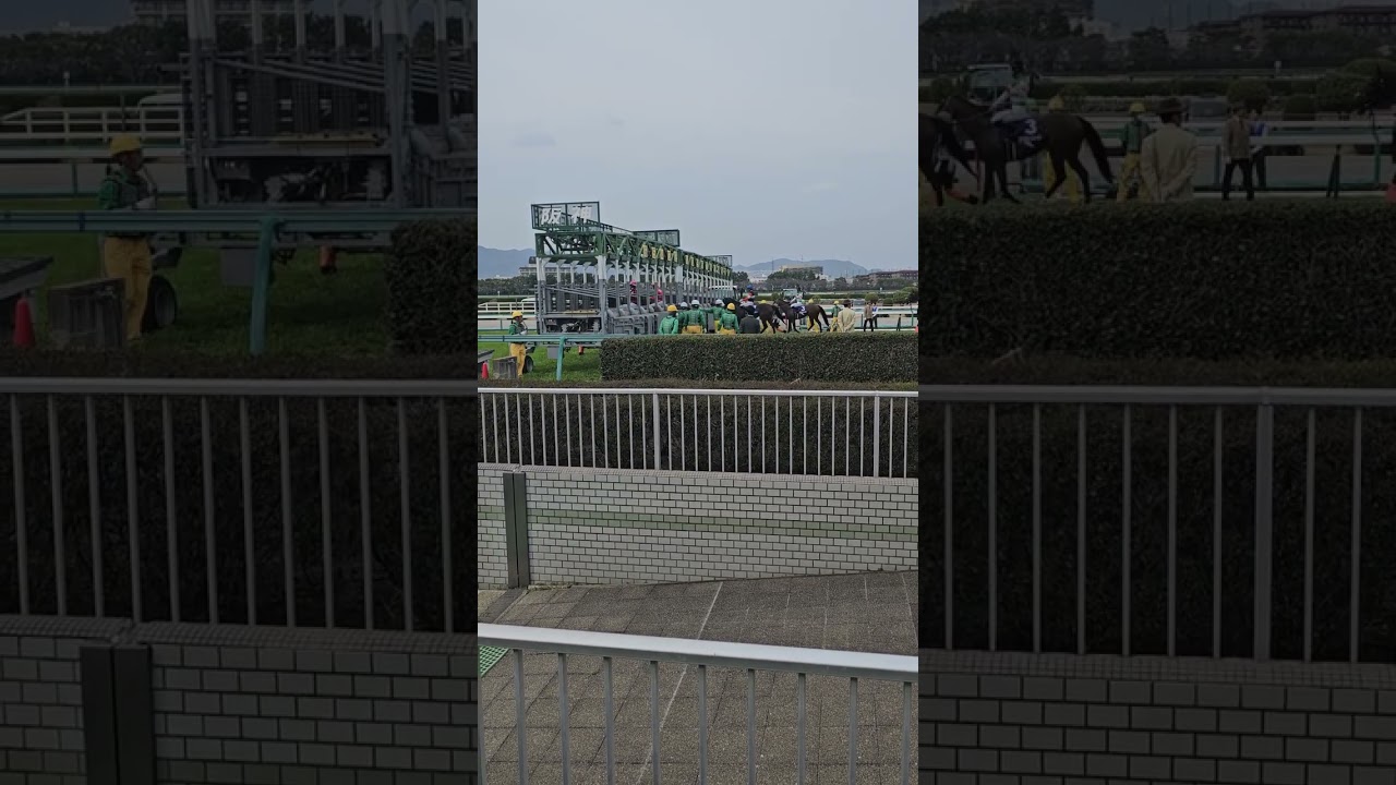 【亜佑美推しHoliday】競馬　大阪杯　ゲートインからスタートまで