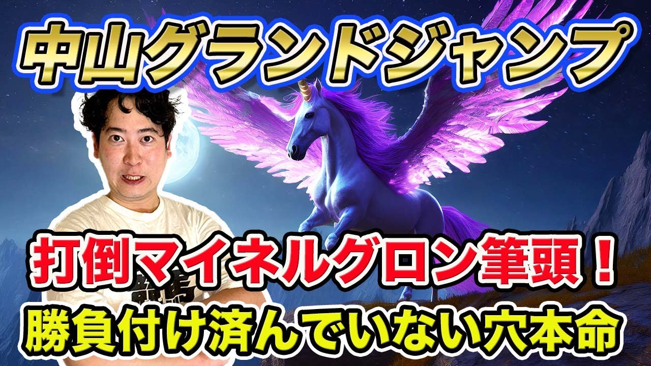 【中山グランドジャンプ2024】打倒マイネルグロン筆頭！勝負付けが済んでいないこの穴馬から勝負！