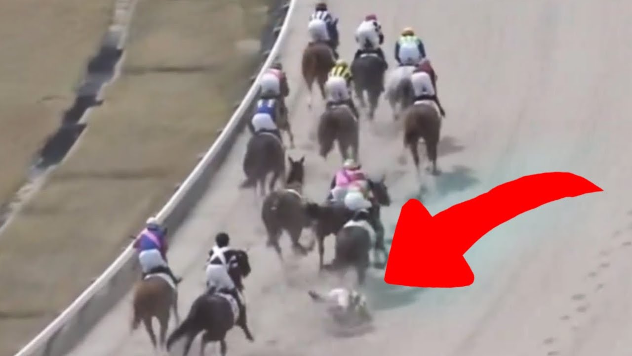 藤岡康太 落馬 | 藤岡康太騎手 落馬 | 【阪神競馬】| 藤岡康太騎手落馬の瞬間 今も意識戻らず!! ヤバすぎる