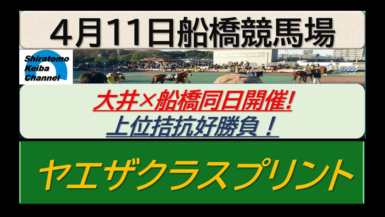 【競馬予想】ヤエザクラスプリント！～２０２４年４月１１日 船橋競馬場 ：４－２４