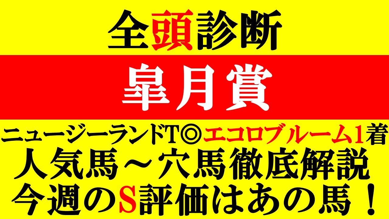 【皐月賞 全頭診断 2024】ニュージーランドT◎エコロブルーム1着！今週のS評価はアノ馬だ！