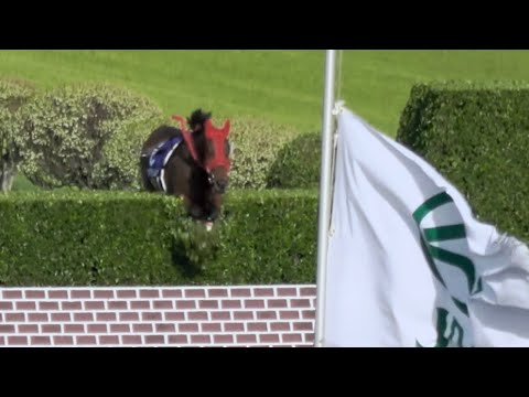【中山グランドジャンプ2024】⑥タマモワカムシャ 一人で大障害を2つ飛ぶ‼最後は落馬した中村騎手と仲良く帰る 現地映像 【放馬】【落馬】