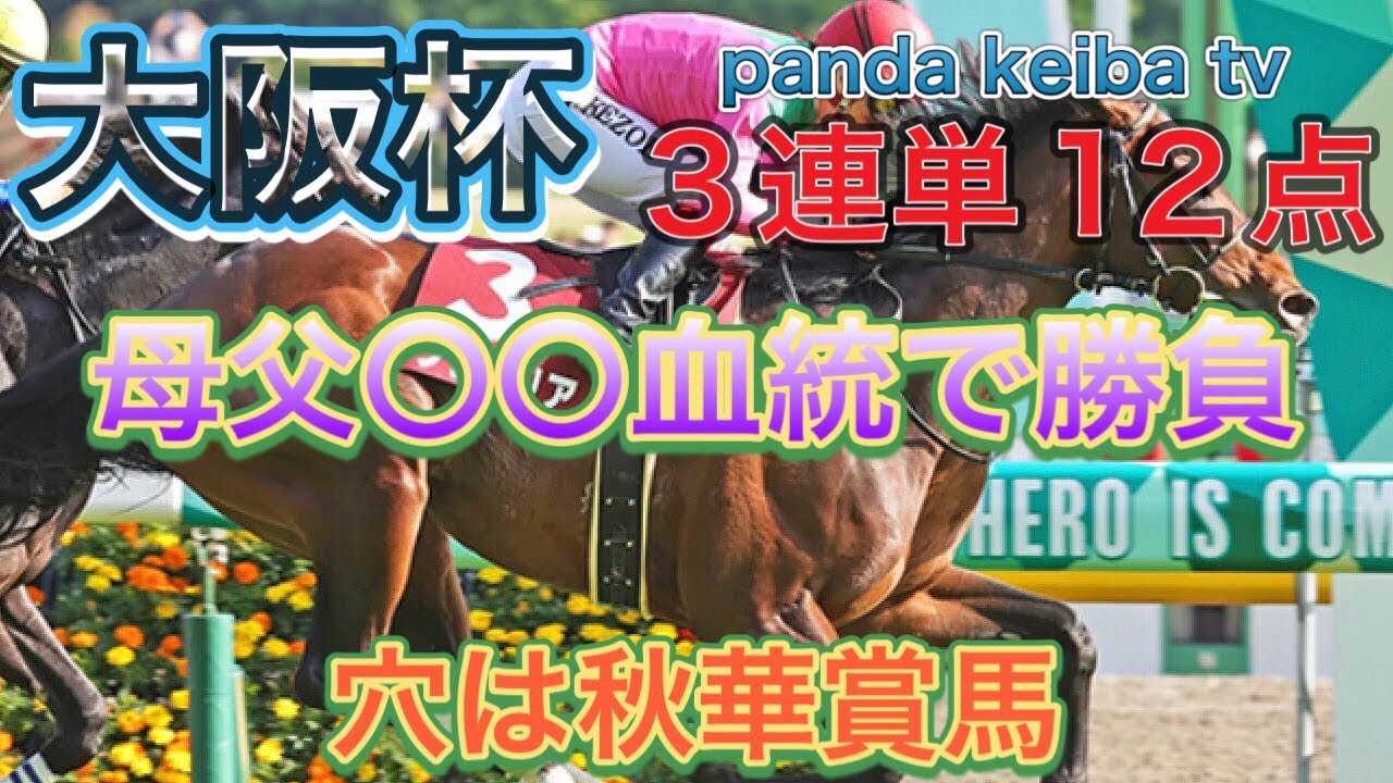 【大阪杯 2024 】三連単十二点勝負🔥🔥panda keiba tv 〜穴は秋華賞馬