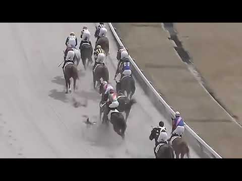 藤岡康太騎手　落馬により死去されました。ご冥福をお祈りします・・・。