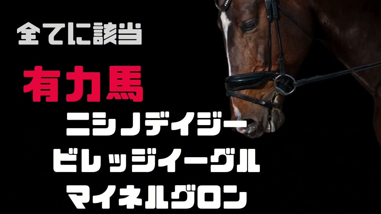 中山グランドジャンプ❗データ分析❗有力馬はこの馬だ❗