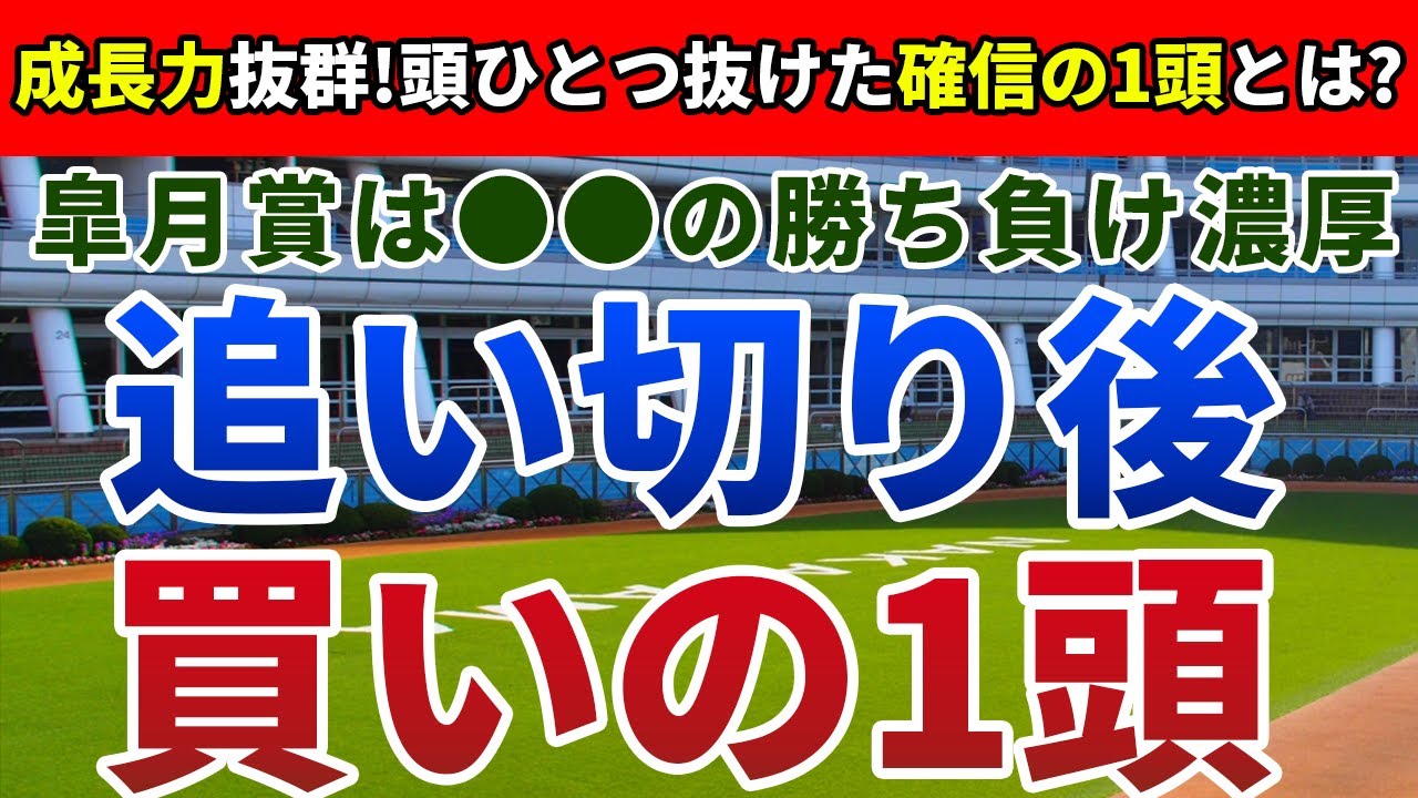 皐月賞2024 追い切り後【買いの1頭】公開！前哨戦7レースを一挙に徹底検証！驚きの成長を遂げた妙味馬はどの馬？