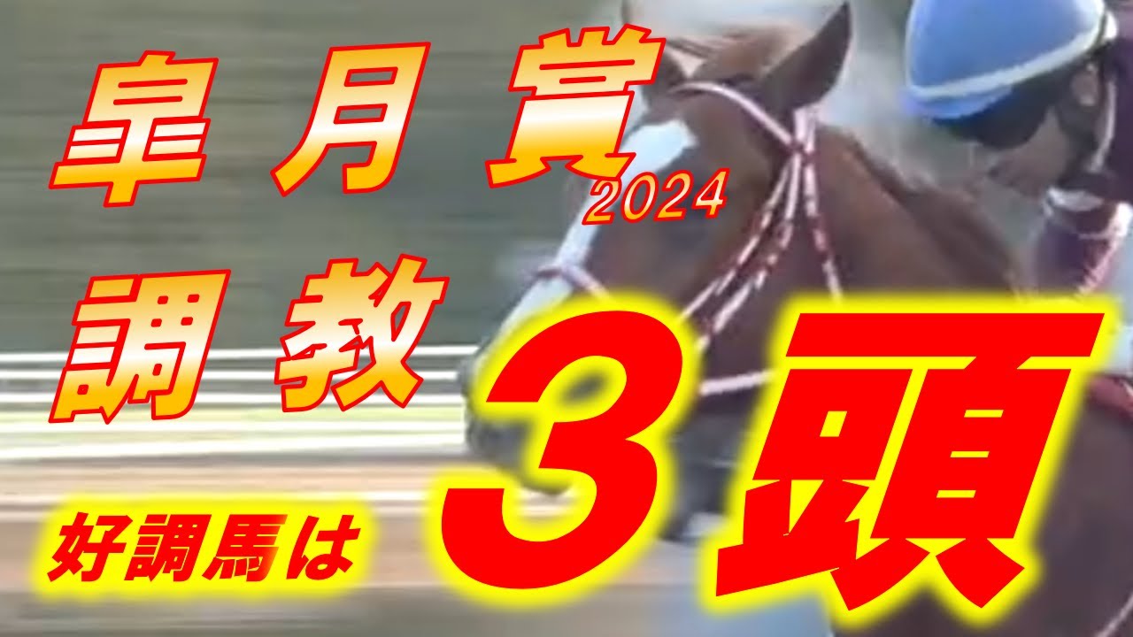 皐月賞2024　追い切り診断！！　混戦模様も3頭まで絞った！　レガレイラ、ダノンデサイル、サンライズジパング等　　元馬術選手のコラム by アラシ