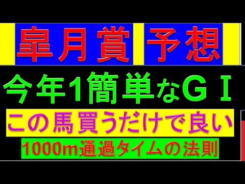 2024年 皐月賞 予想【今年1番簡単すぎる】