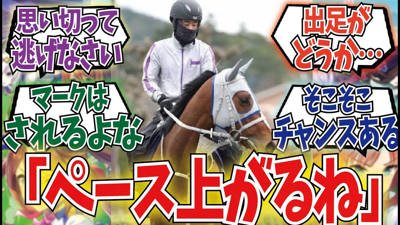 「メイショウタバル良い枠入ったな」に対するみんなの反応集