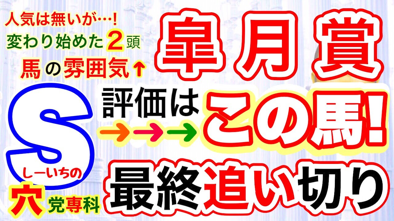 穴党専科❣️【皐月賞2024】しーいちの最終追い切りS評価→人気ないので気楽にいこうの２頭！