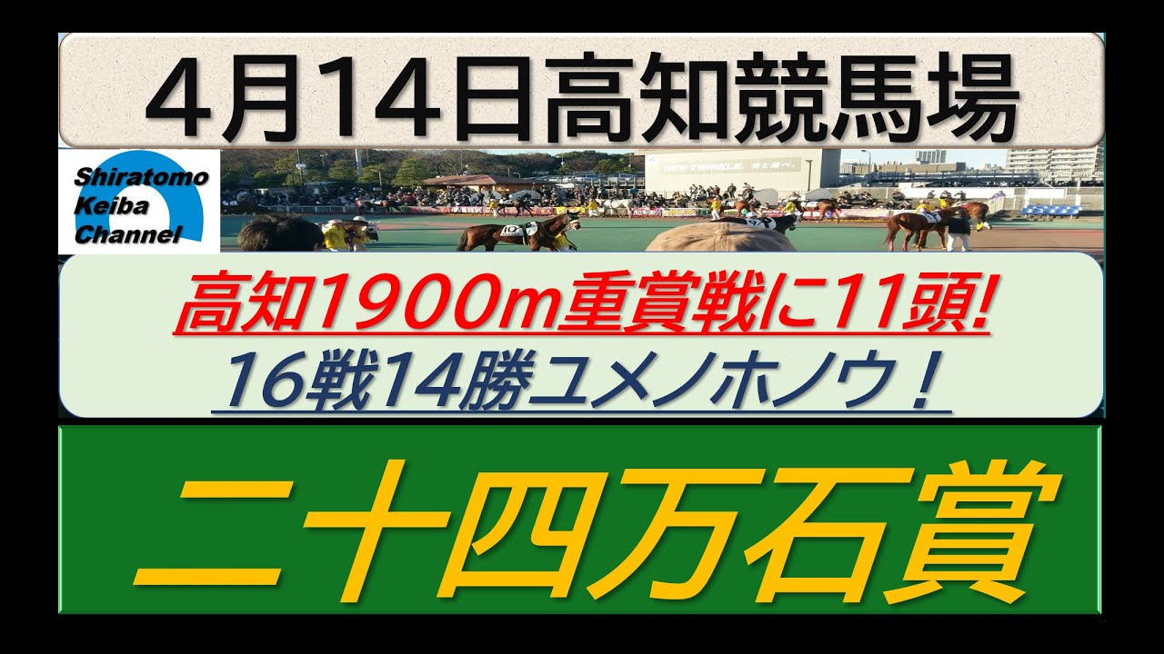 【競馬予想】重賞・二十四万石賞！～２０２４年４月１４日 高知競馬場 ：４－３３