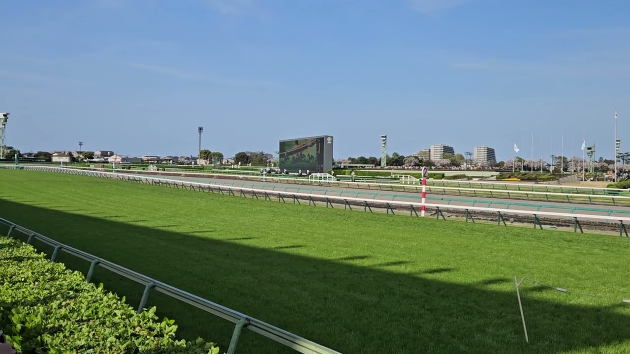 第26回中山グランドジャンプ2024