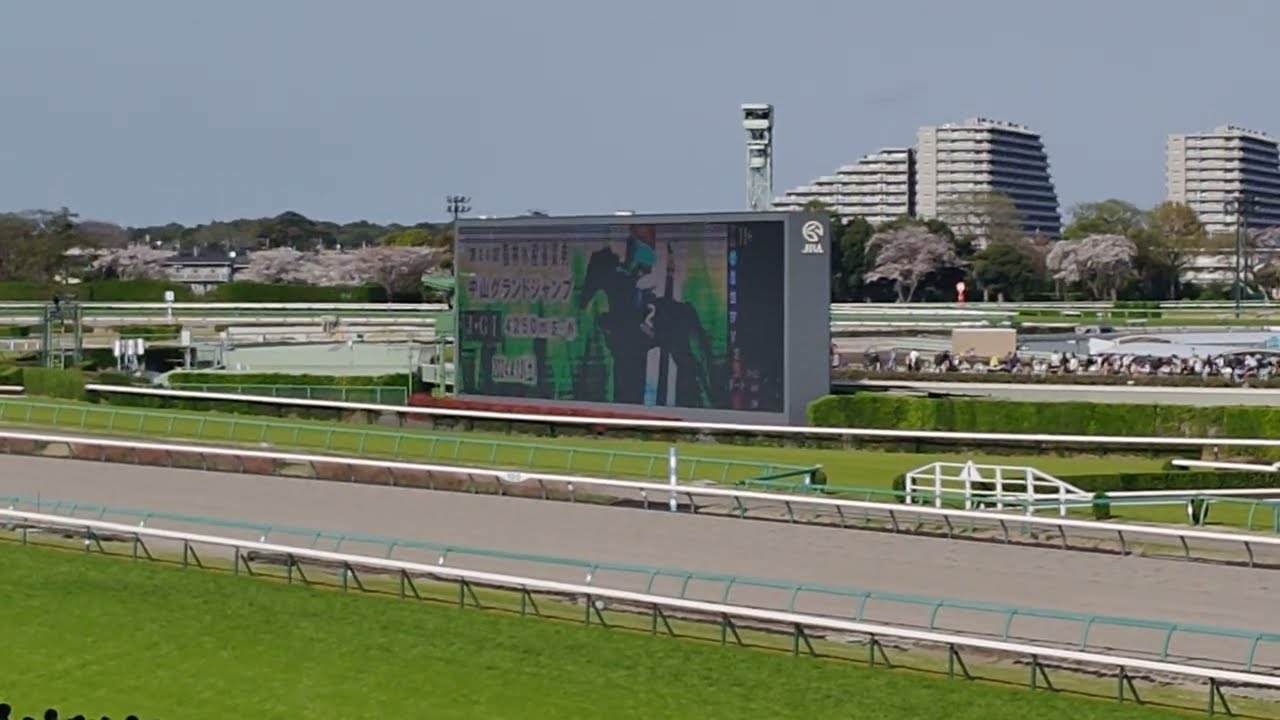 2024/4/13 中山競馬11R 中山大障害現地観戦（8番イロゴトシ連覇達成おめでとう！！黒岩悠騎手）