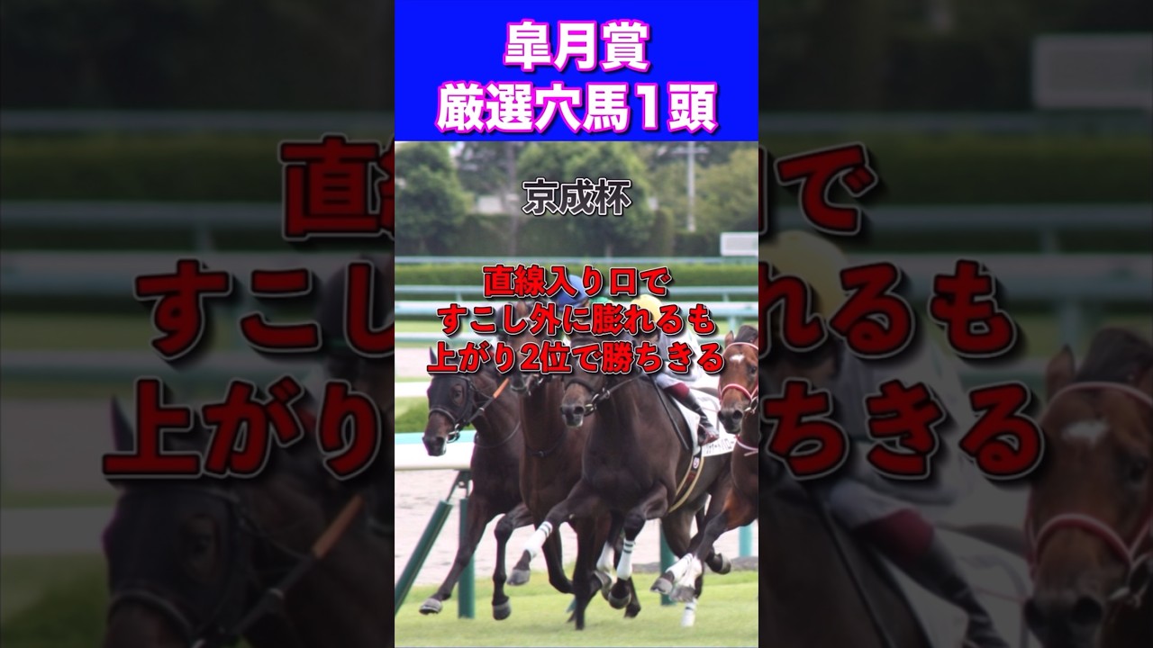 【皐月賞2024】厳選穴馬1頭
