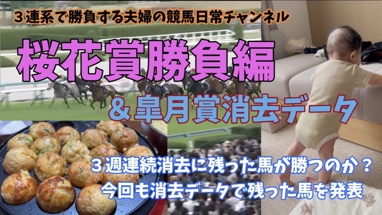 【競馬日常】桜花賞勝負編＆皐月賞消去データ予想。データで残った馬が３週連続勝利するのか？いーたんがまた成長の巻。じんたん、すみたん夫婦競馬ちゃんねる！