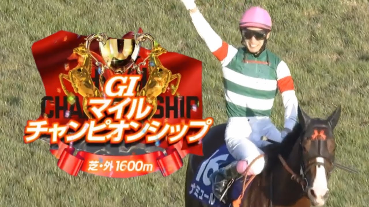 【競馬】2023年 第40回マイルチャンピオンシップ(GⅠ)【ナミュール / 藤岡康太】