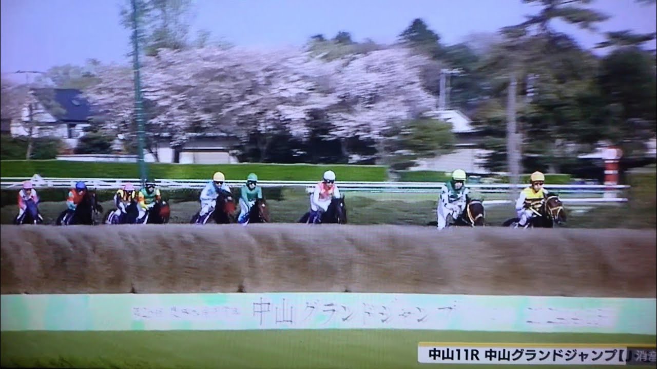 2024 第26回中山グランドジャンプ(J・G1)