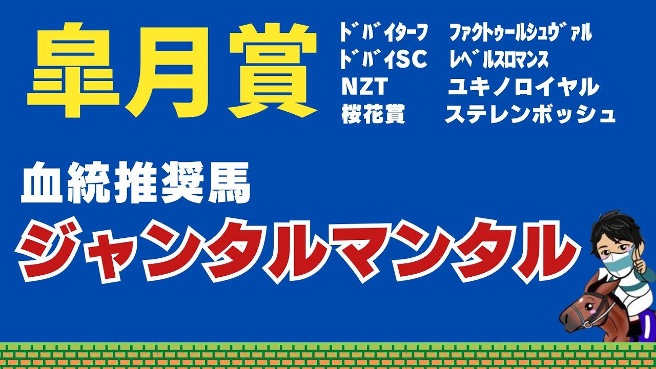 【皐月賞2024】【ジャンタルマンタル3着！！✨】文字だけで血統を見ると本当の適性を見間違えます！血統派には低評価の馬を血統で買う！！