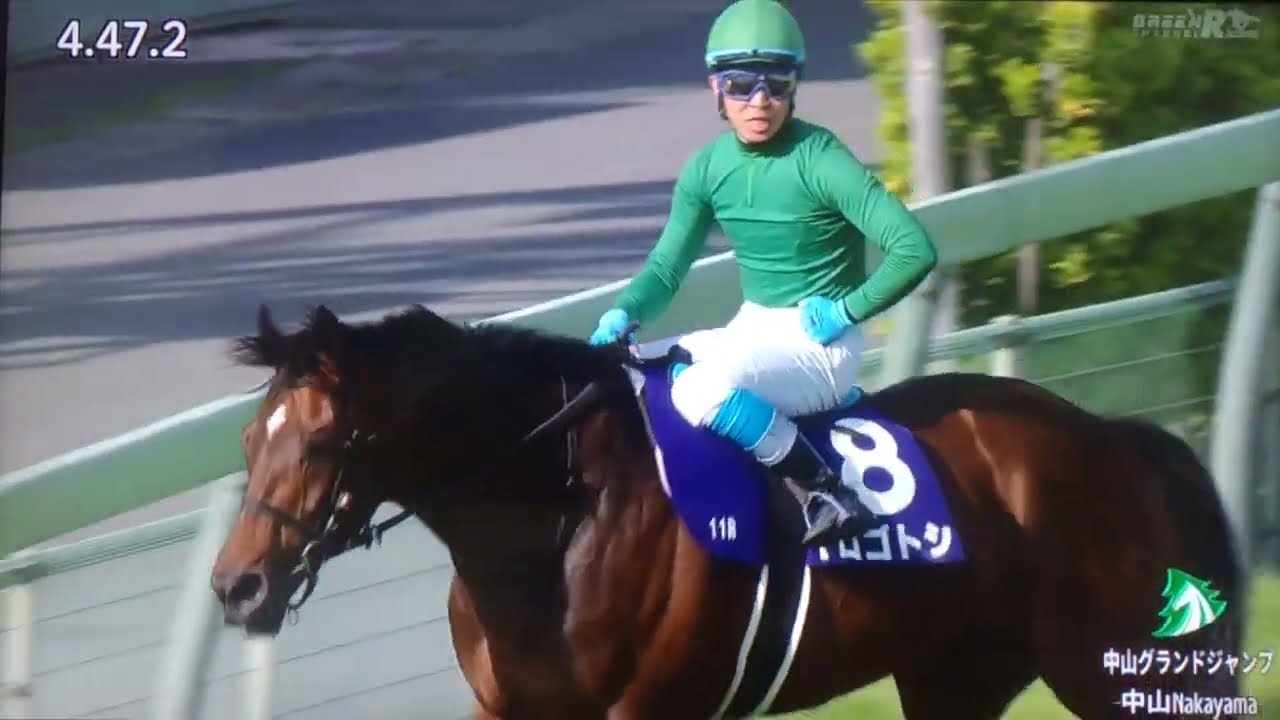 中山11レース第26回中山グランドジャンプ(J・GI) イロゴトシ