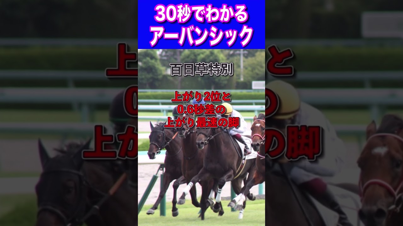 【皐月賞2024】30秒でわかるアーバンシック