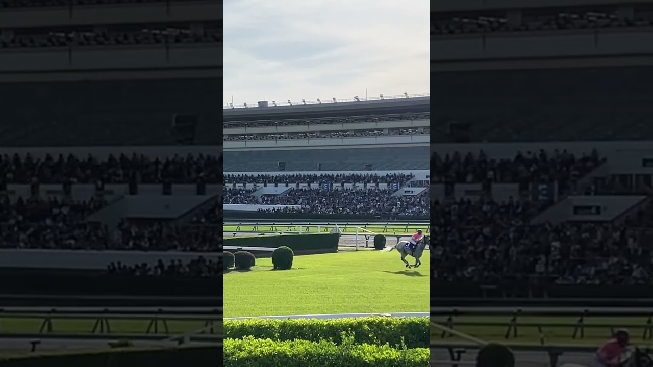 2024年 中山グランドジャンプ（J･GⅠ） | 第26回 | JRA 障害 競馬