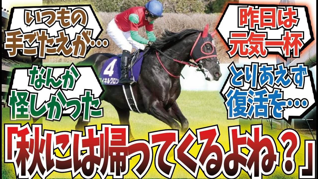 「マイネルグロン何があったの…」に対するみんなの反応集