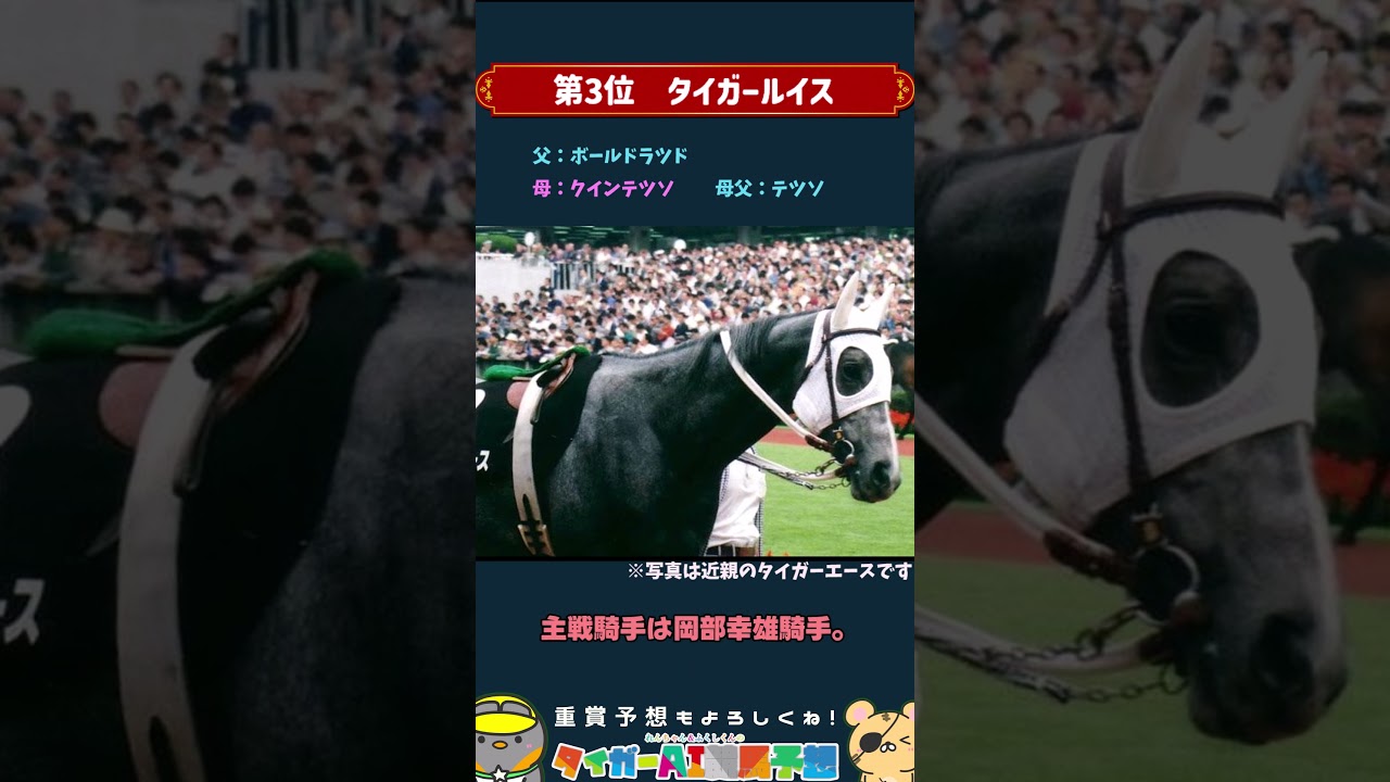 【盲点】名前にタイガーがつく歴代活躍馬トップ3！#競馬 #shorts #tiger