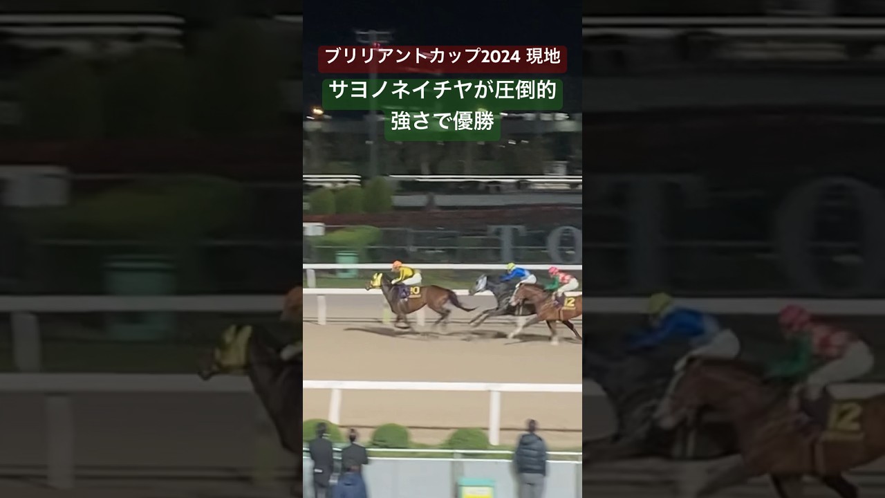 サヨノネイチヤが圧倒的強さでヒーロー達をねじ伏せブリリアントカップ2024優勝、重賞連勝中！ 【大井競馬】 #サヨノネイチヤ　#ヒーローコール