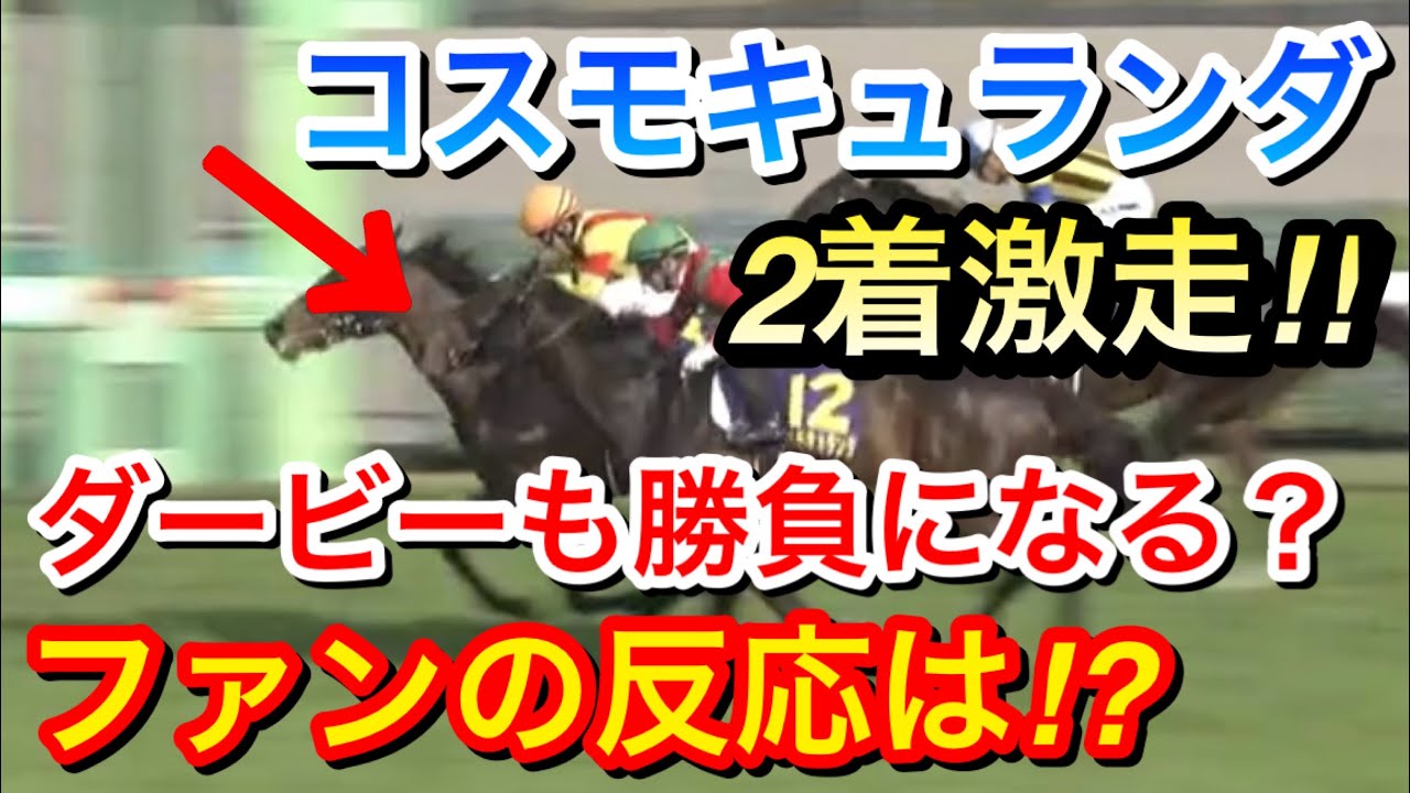 【皐月賞2024】コスモキュランダ(7人気)が2着に激走！今回のレース内容についてファンは何を思うのか？そして日本ダービーでも勝負になるのか！？【競馬の反応集】