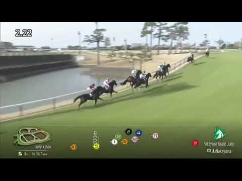 中山グランドジャンプ 2024 圧倒的一番人気マイネルグロン敗れる